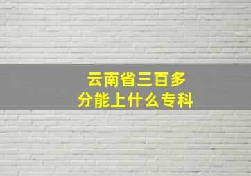 云南省三百多分能上什么专科