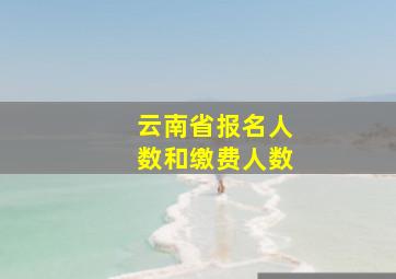 云南省报名人数和缴费人数