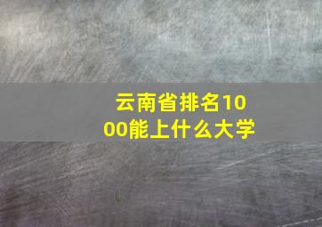 云南省排名1000能上什么大学