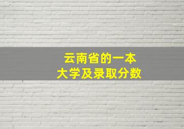 云南省的一本大学及录取分数