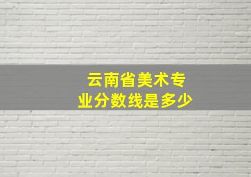 云南省美术专业分数线是多少