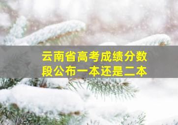 云南省高考成绩分数段公布一本还是二本