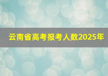 云南省高考报考人数2025年