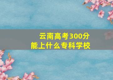 云南高考300分能上什么专科学校