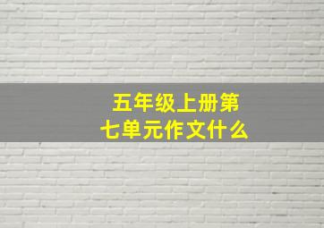 五年级上册第七单元作文什么