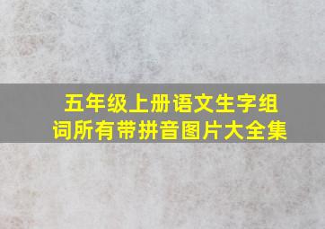 五年级上册语文生字组词所有带拼音图片大全集