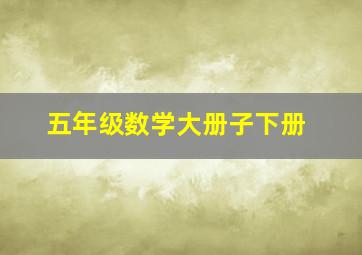 五年级数学大册子下册