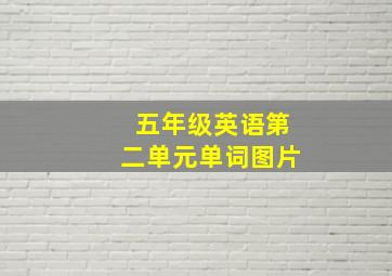 五年级英语第二单元单词图片