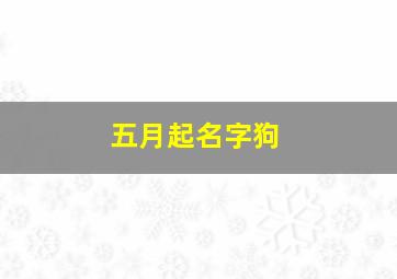 五月起名字狗