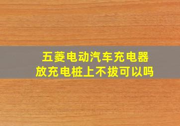 五菱电动汽车充电器放充电桩上不拔可以吗