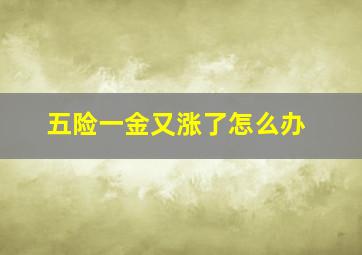 五险一金又涨了怎么办