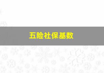 五险社保基数