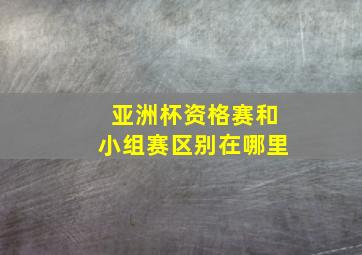 亚洲杯资格赛和小组赛区别在哪里