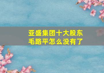 亚盛集团十大股东毛路平怎么没有了