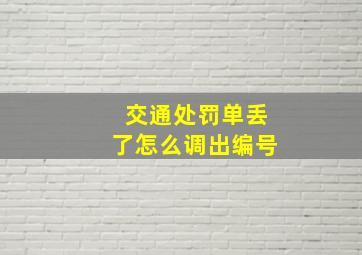 交通处罚单丢了怎么调出编号