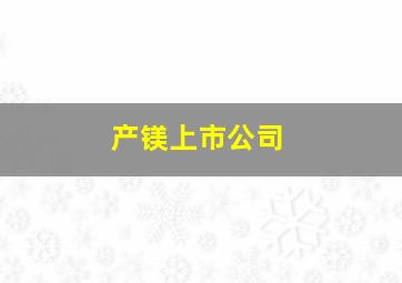 产镁上市公司