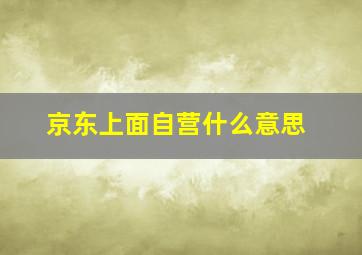 京东上面自营什么意思