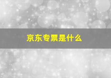 京东专票是什么