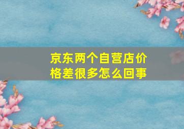 京东两个自营店价格差很多怎么回事