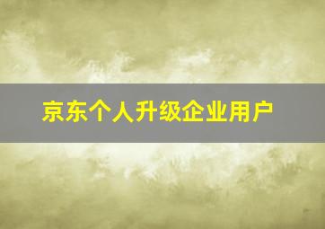 京东个人升级企业用户