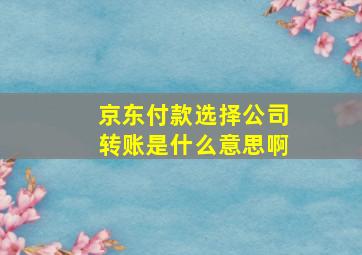 京东付款选择公司转账是什么意思啊