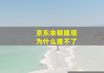 京东余额提现为什么提不了