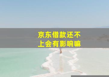 京东借款还不上会有影响嘛