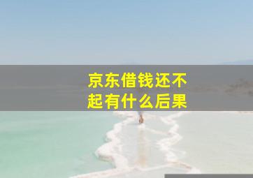 京东借钱还不起有什么后果