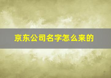 京东公司名字怎么来的