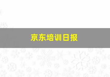 京东培训日报