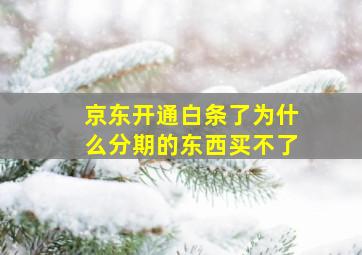 京东开通白条了为什么分期的东西买不了