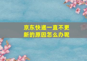 京东快递一直不更新的原因怎么办呢