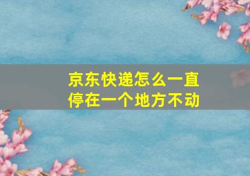 京东快递怎么一直停在一个地方不动