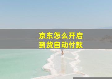 京东怎么开启到货自动付款