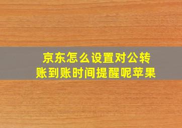 京东怎么设置对公转账到账时间提醒呢苹果