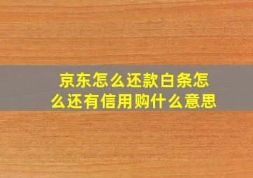 京东怎么还款白条怎么还有信用购什么意思