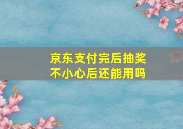 京东支付完后抽奖不小心后还能用吗