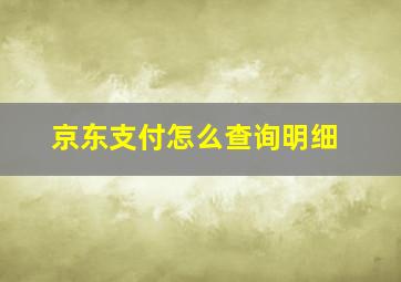 京东支付怎么查询明细