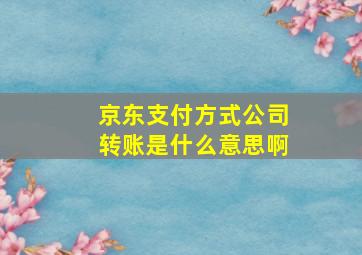 京东支付方式公司转账是什么意思啊