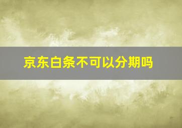 京东白条不可以分期吗