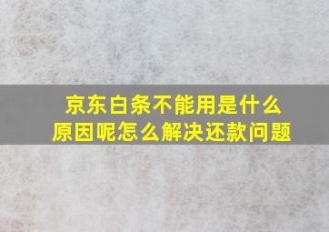 京东白条不能用是什么原因呢怎么解决还款问题