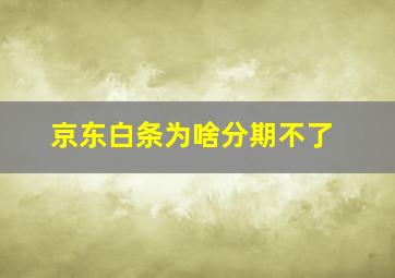 京东白条为啥分期不了