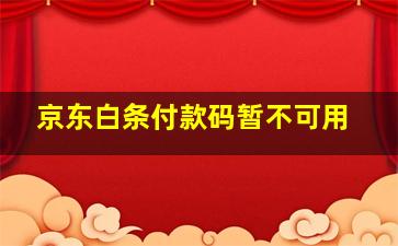 京东白条付款码暂不可用