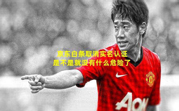 京东白条取消实名认证是不是就没有什么危险了
