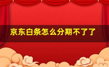 京东白条怎么分期不了了