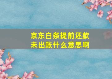 京东白条提前还款未出账什么意思啊