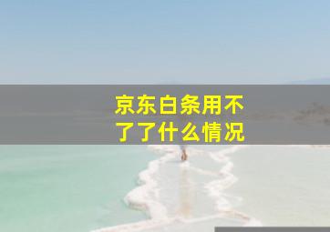 京东白条用不了了什么情况