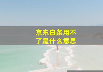 京东白条用不了是什么意思