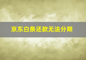 京东白条还款无法分期