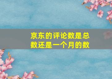 京东的评论数是总数还是一个月的数